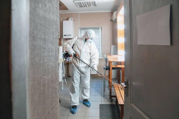 Best HVAC Mold Inspection and Cleaning  in Princeton, KY