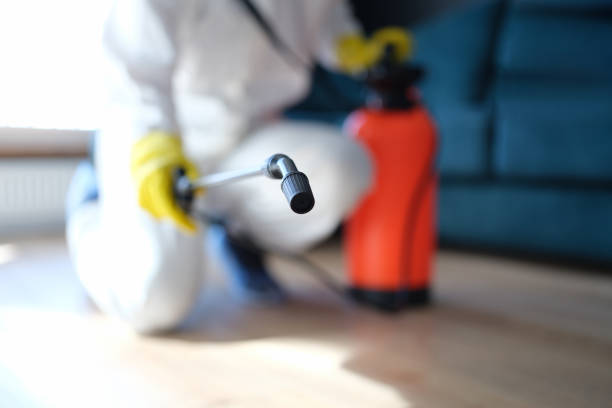 Professional Mold Removal in Princeton, KY